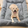 Plush Pet Sofa Bed