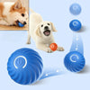Intelligent Interactive Dog Toy