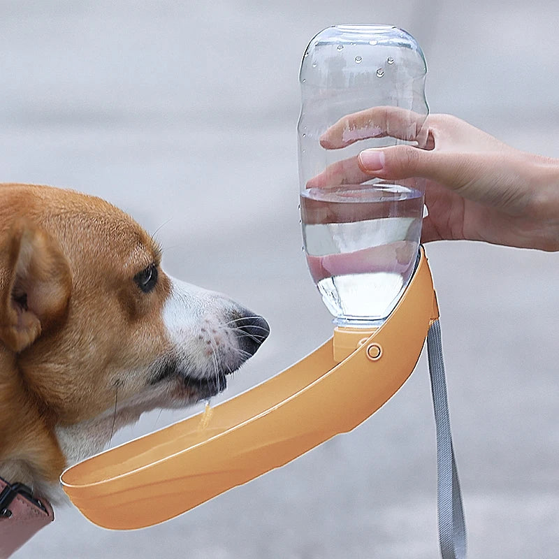Foldable Dog Water Bottle