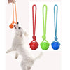 Rope Ball Training Toy