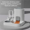 Automatic Food Water Dispenser