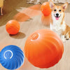 Plush Handle Dog Ball