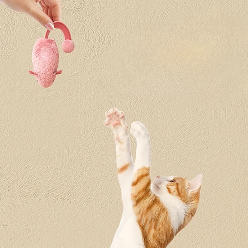 Plush Teddy Rope Dog Toy