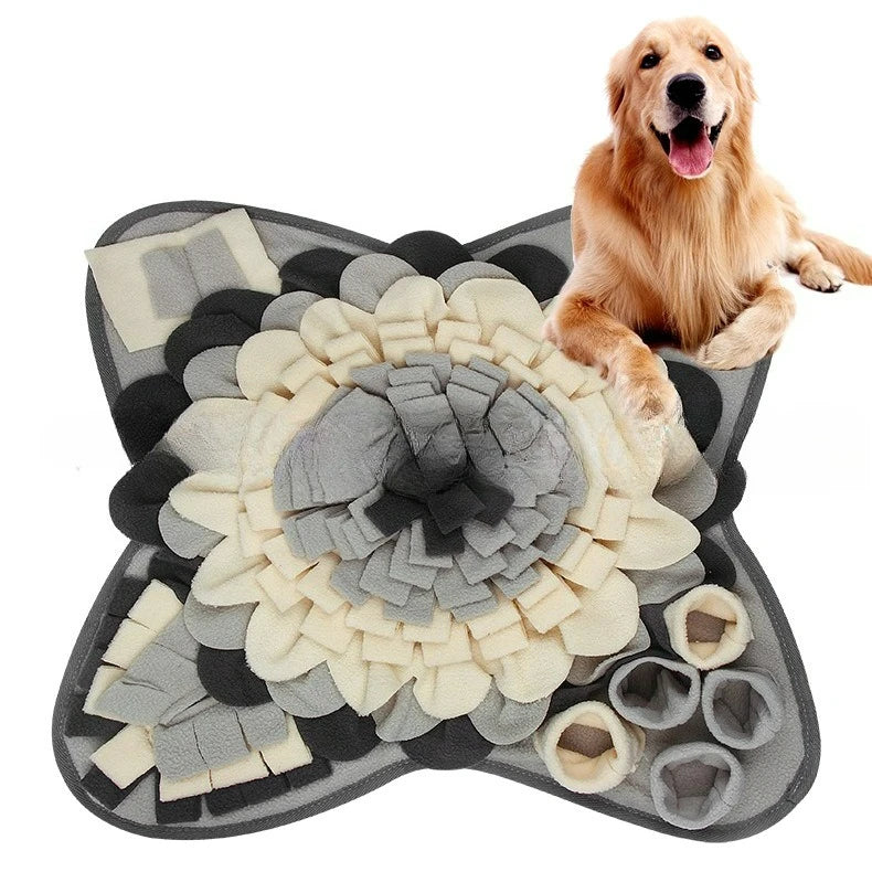 Recordable Dog Training Buttons