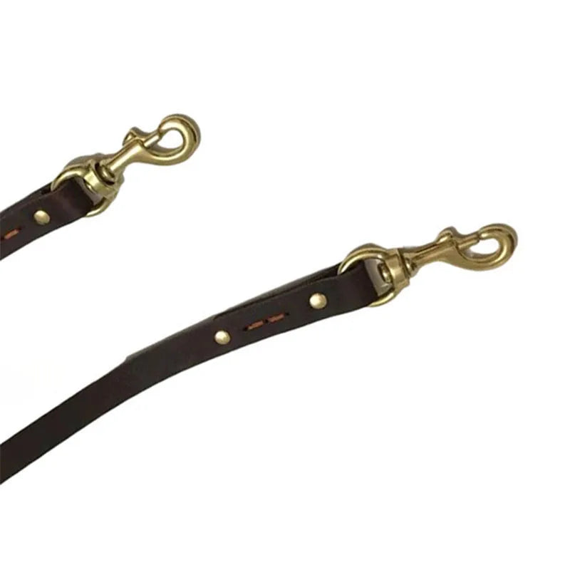 Double Leather Dog Leash