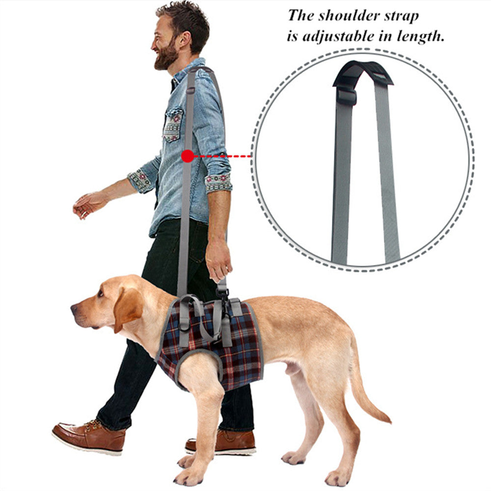 Dog Support Lift Harness