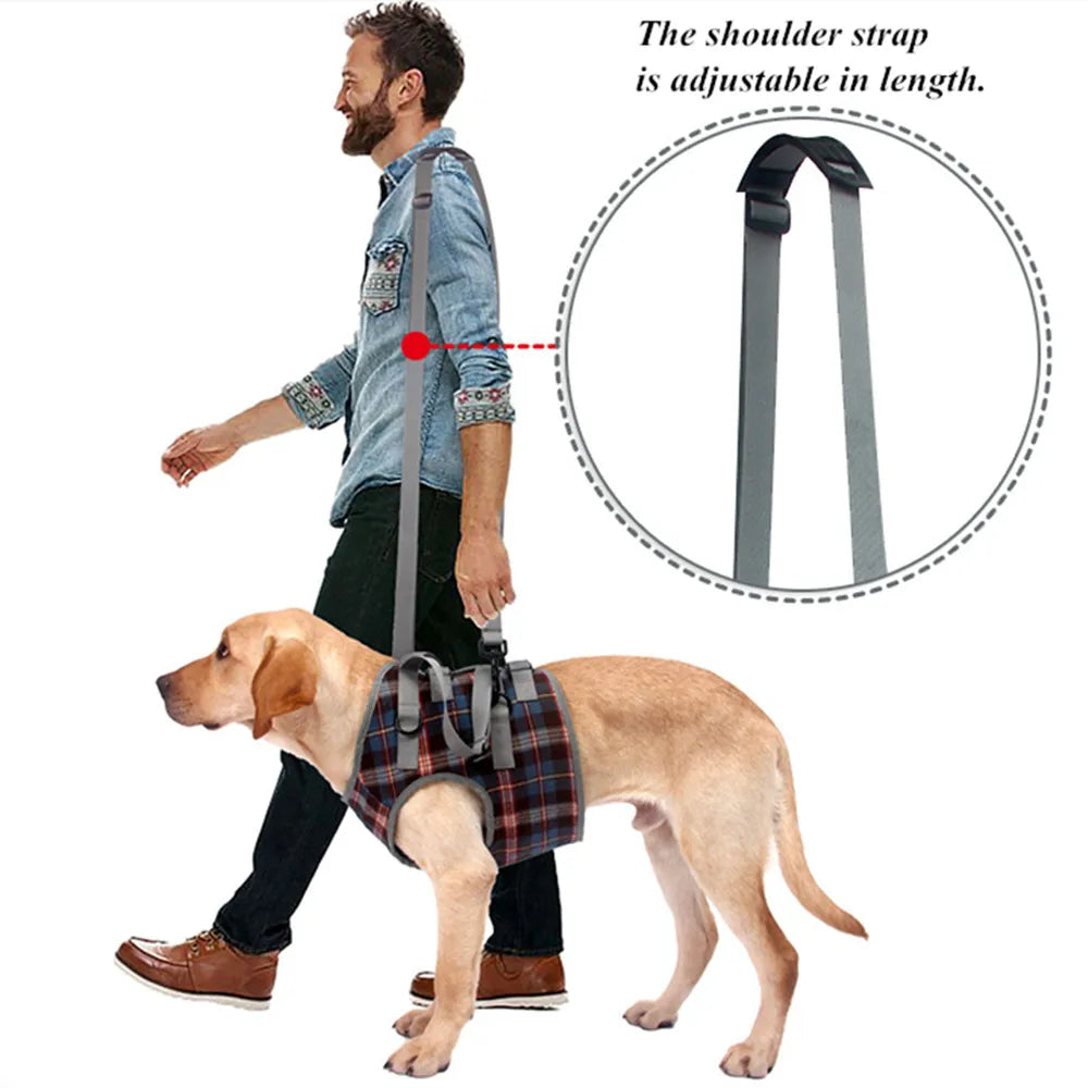 Dog Support Lift Harness