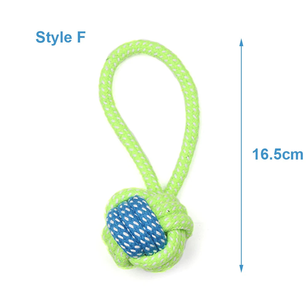 Pet Ball Thrower Stick