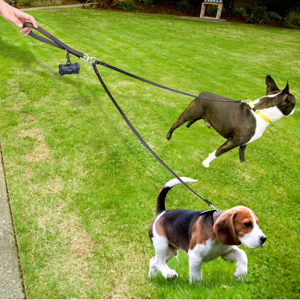 Double Dog Coupler Leash