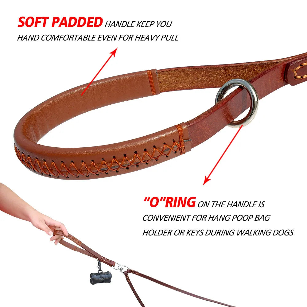 Double Dog Coupler Leash