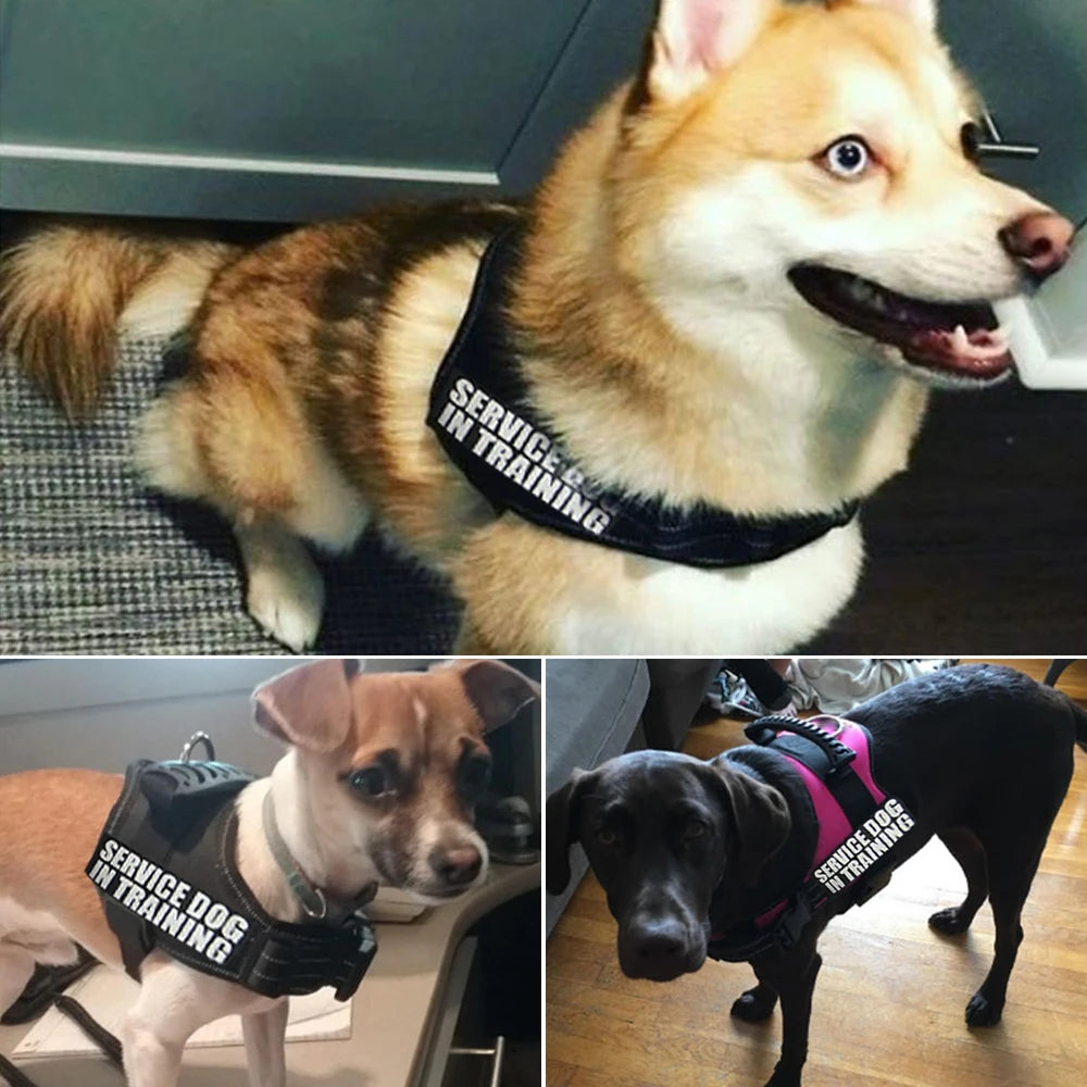 Adjustable Dog Vest Harness