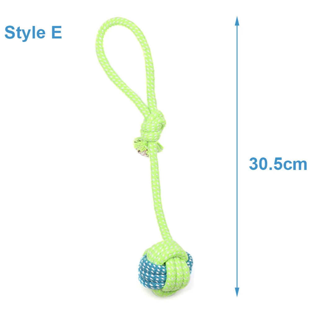 Pet Ball Thrower Stick