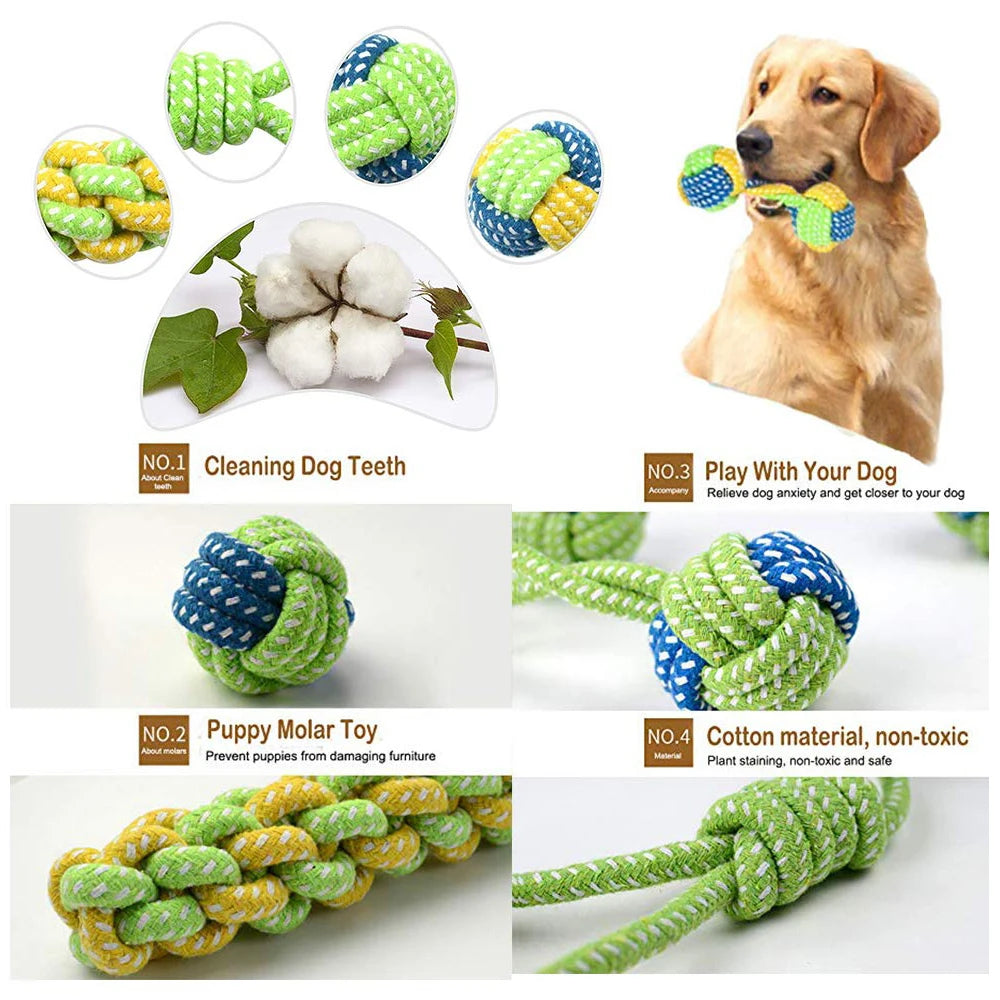 Pet Ball Thrower Stick
