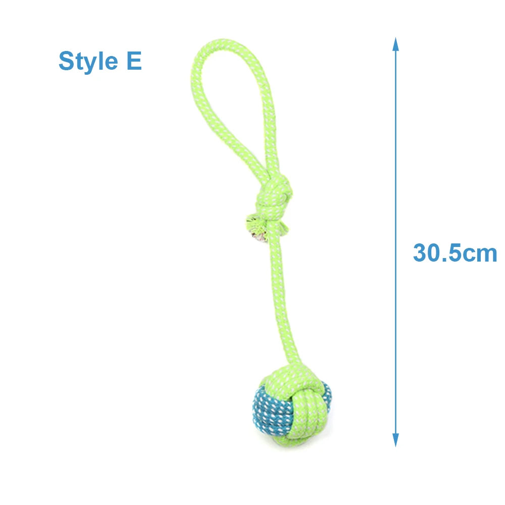Pet Ball Thrower Stick
