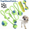 Pet Ball Thrower Stick