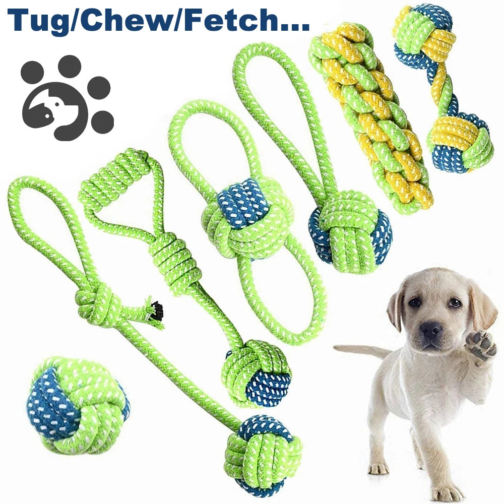 Pet Ball Thrower Stick
