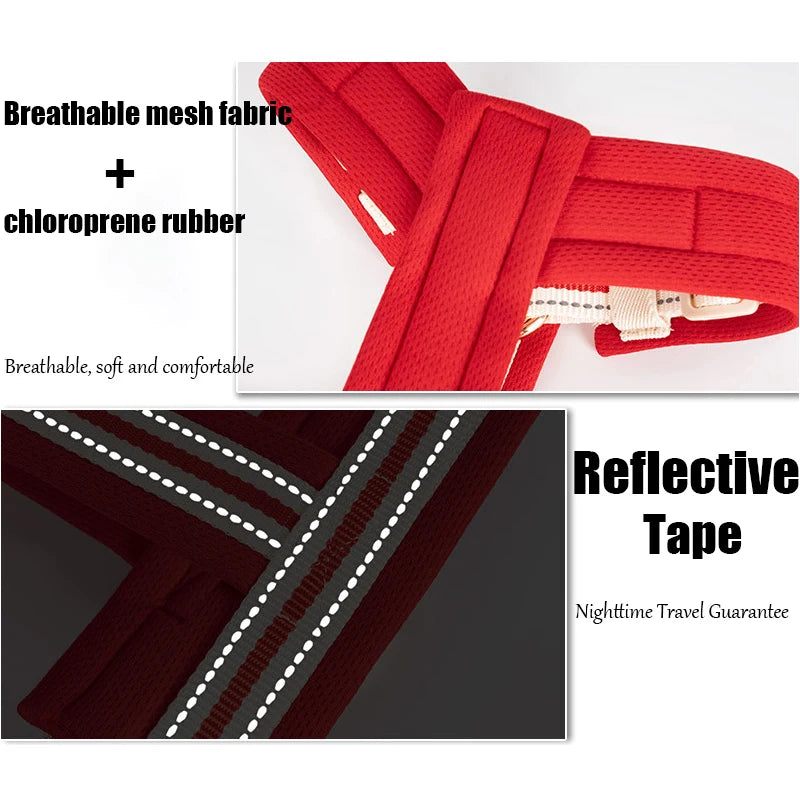 Square Waterproof Dog Bed