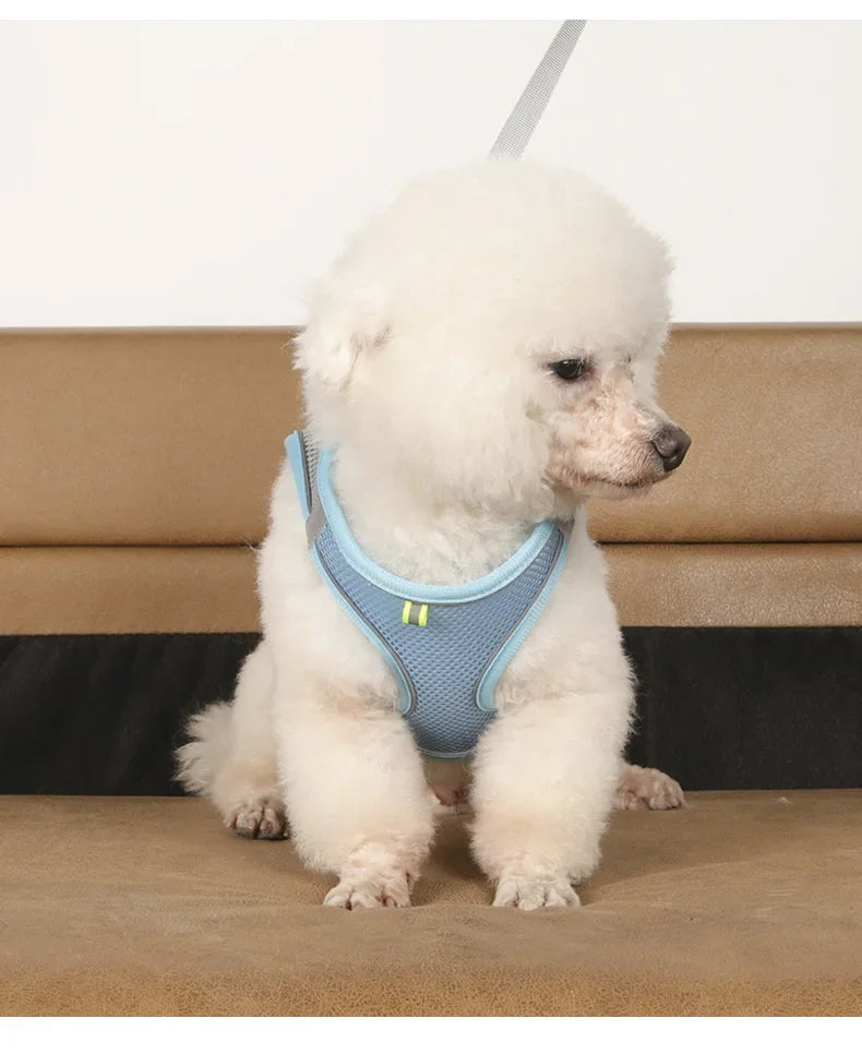 Dog Harness Leash Set