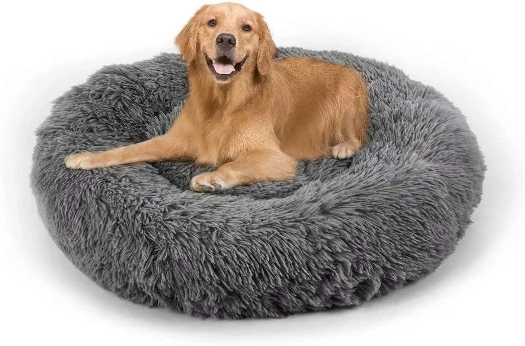 Human Size Dog Bed