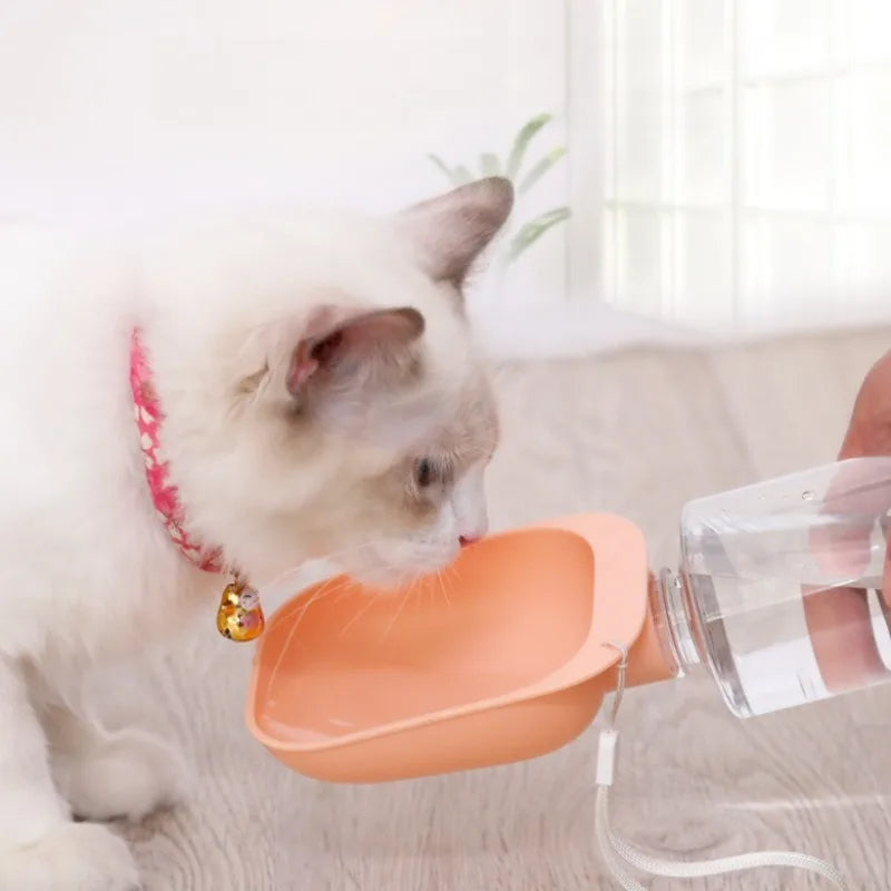 Travel Pet Water Bottle