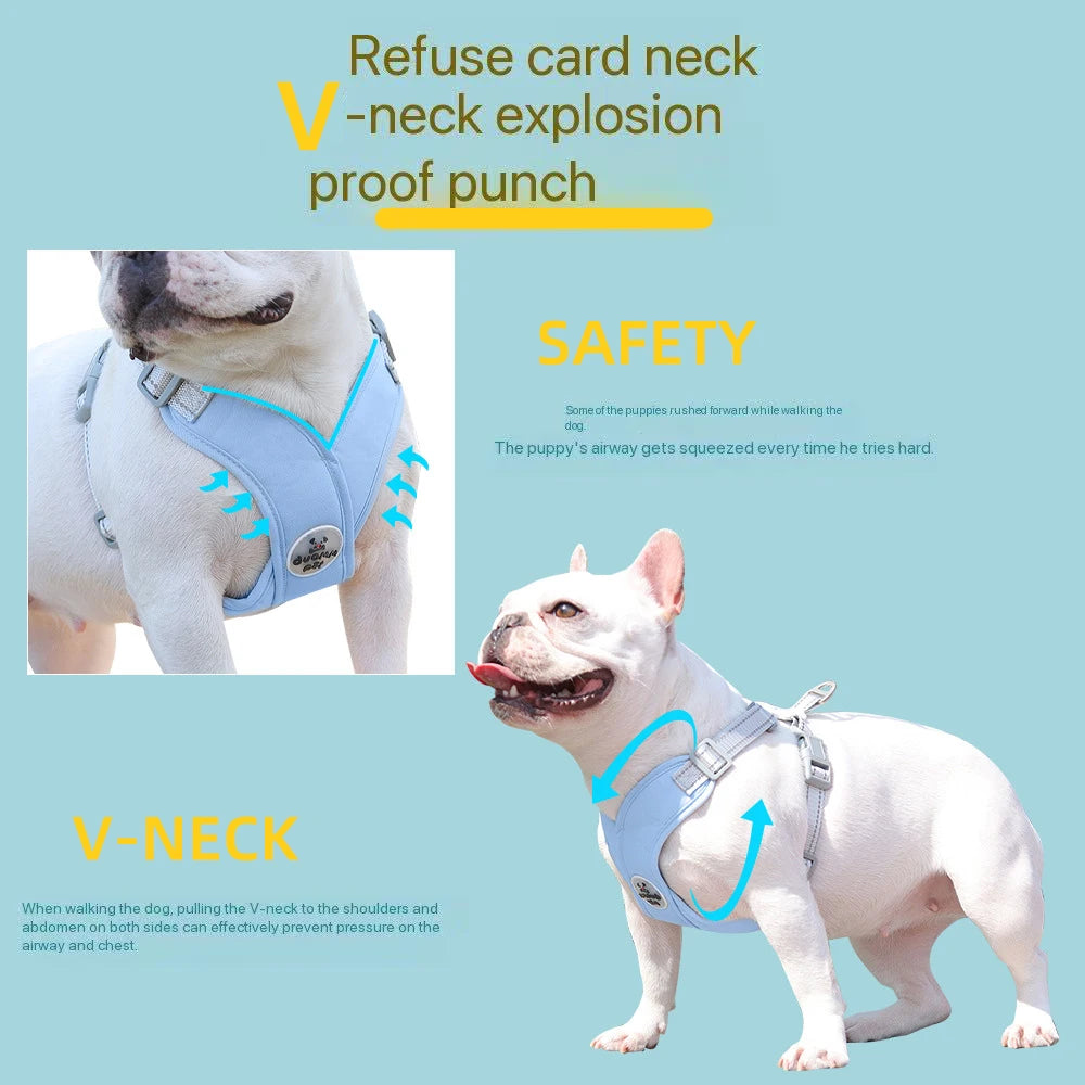 No Pull Harness Leash Set
