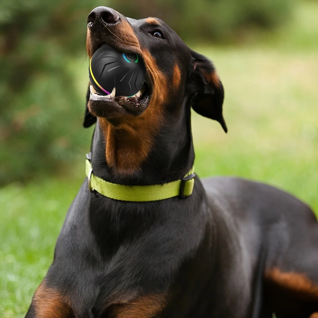 Plush Handle Dog Ball