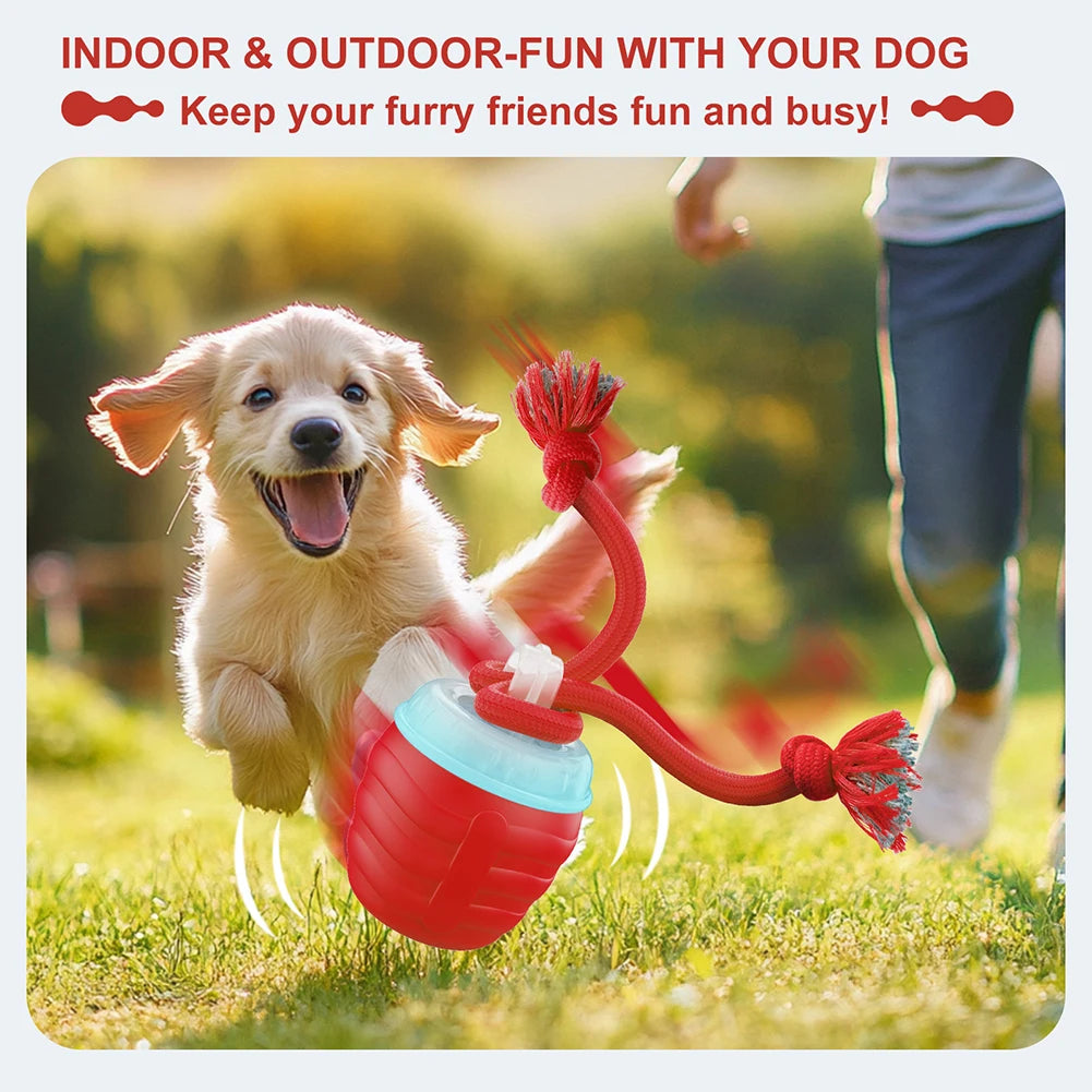 Treat Dispensing Dog Ball