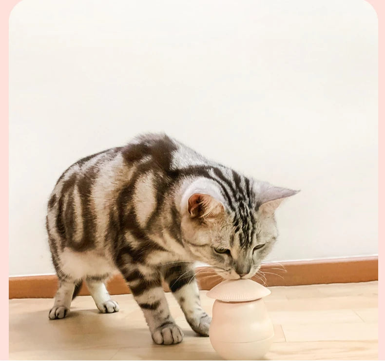 Timed Automatic Cat Laser