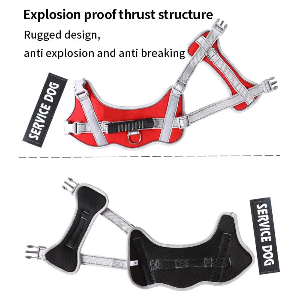 Reflective Dog Harness Set