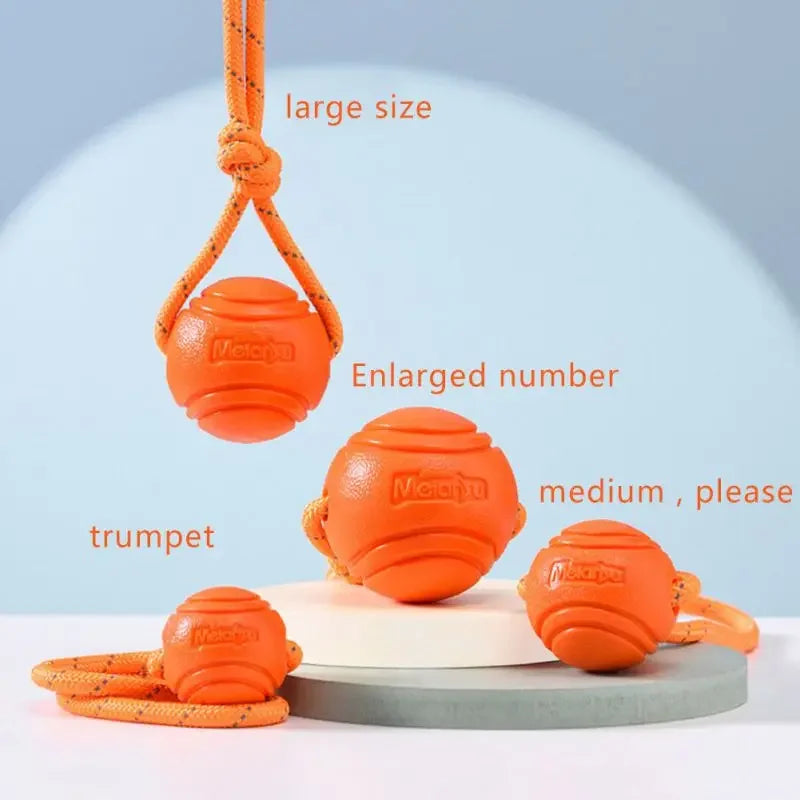 Rope Ball Training Toy