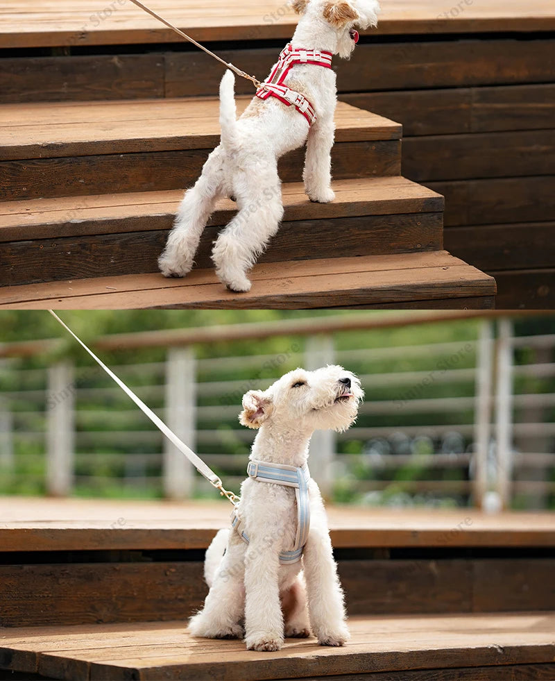 Square Waterproof Dog Bed