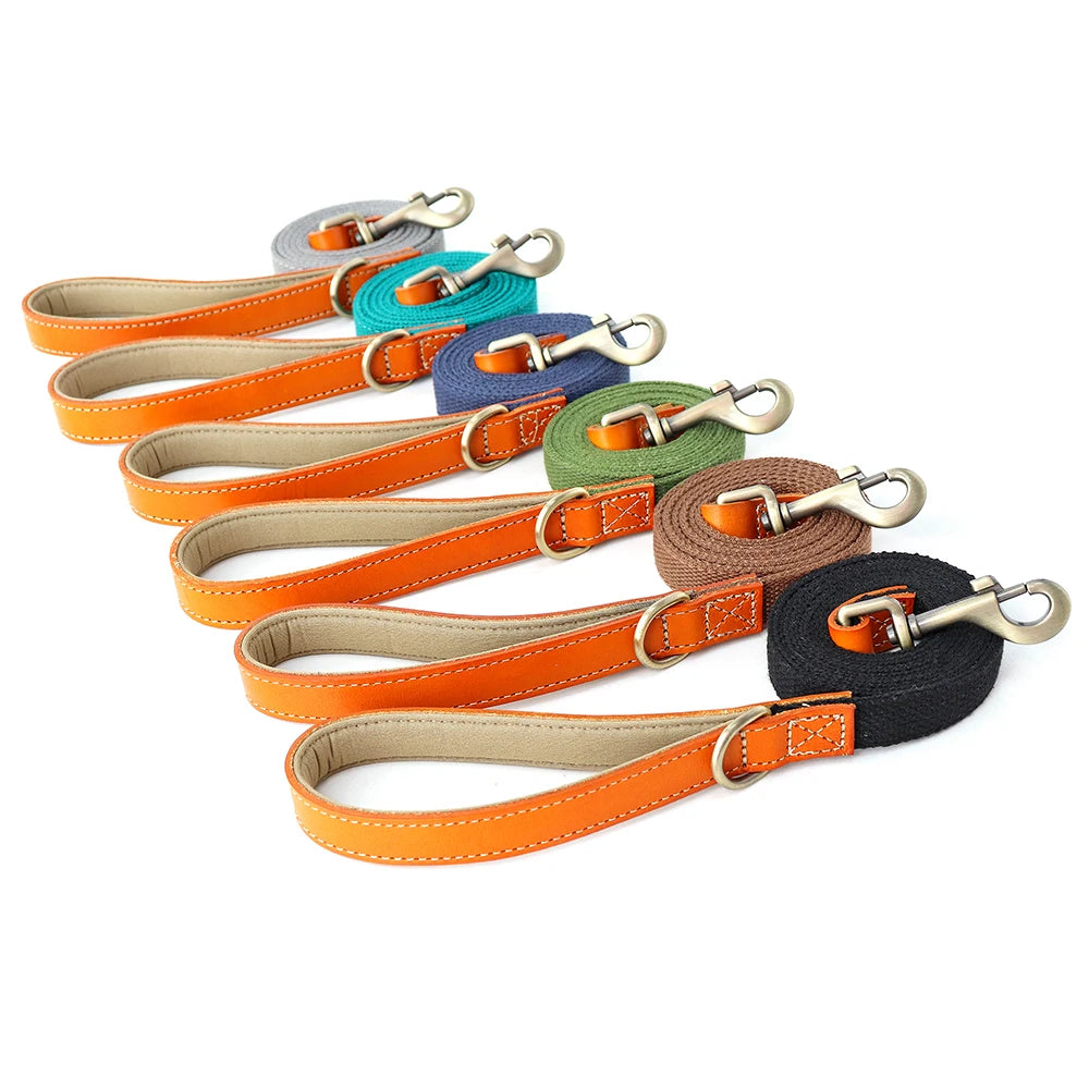Nylon Dog Walking Leash