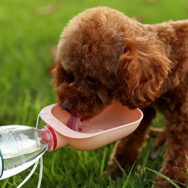 Travel Pet Water Bottle