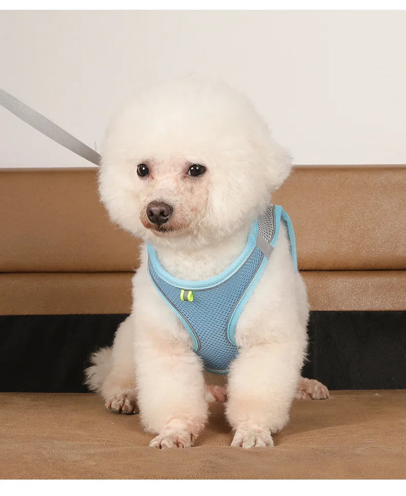 Dog Harness Leash Set