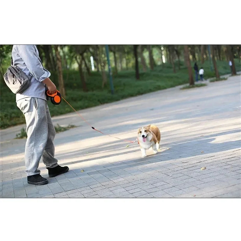 Automatic Nylon Dog Leash