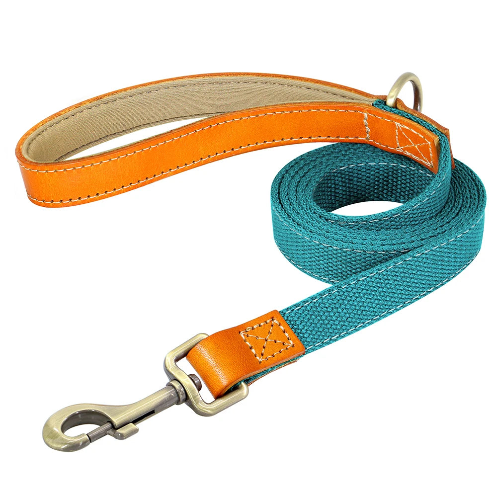 Nylon Dog Walking Leash