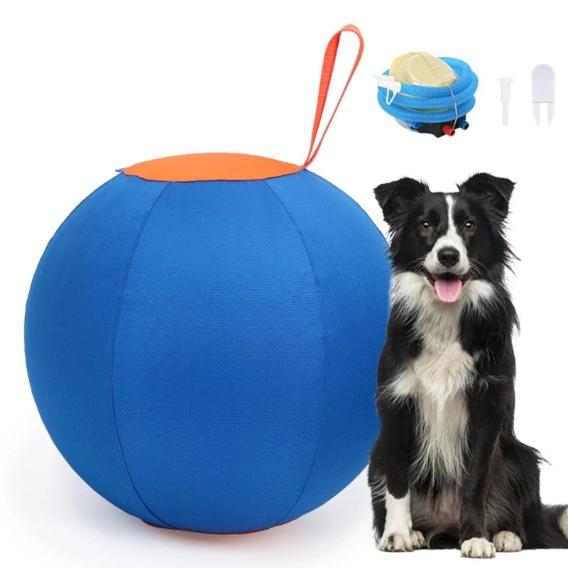 IQ Treat Ball Toy
