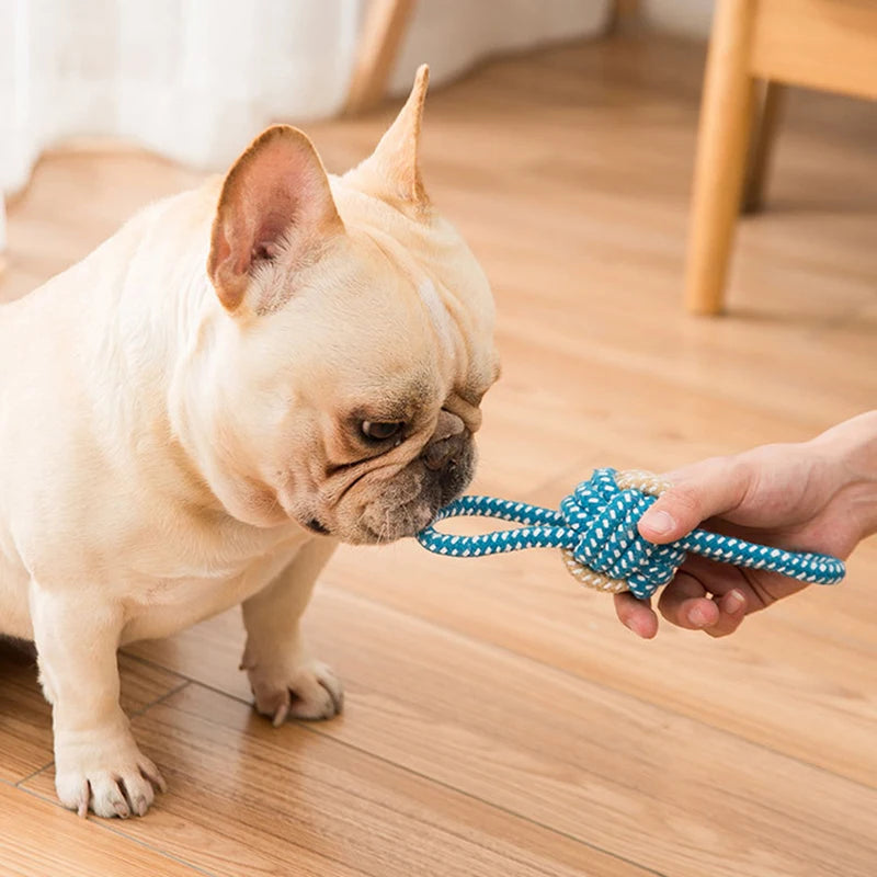 Training Rope Ball Toy