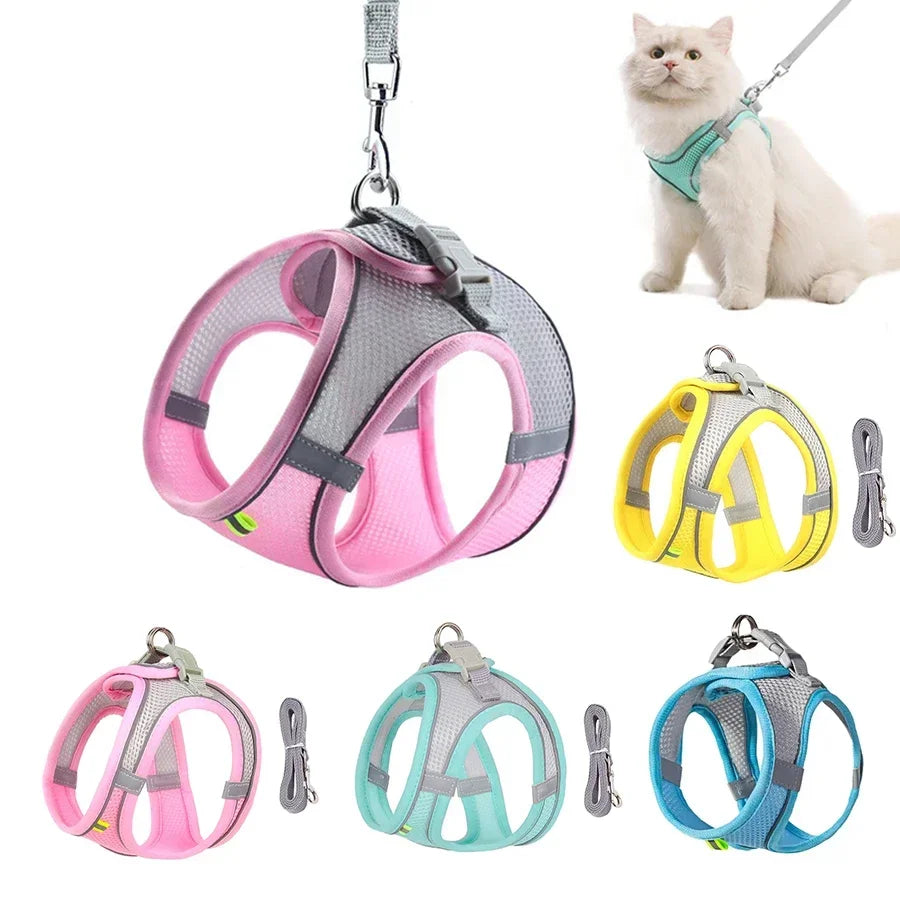 Dog Harness Leash Set