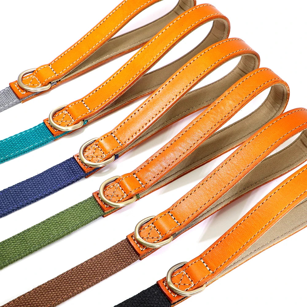 Nylon Dog Walking Leash