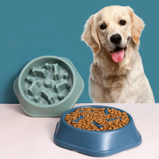 Anti Choking Pet Bowl
