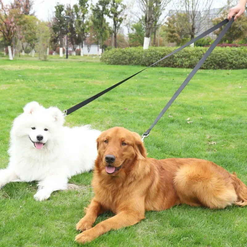 Adjustable Training Dog Leash