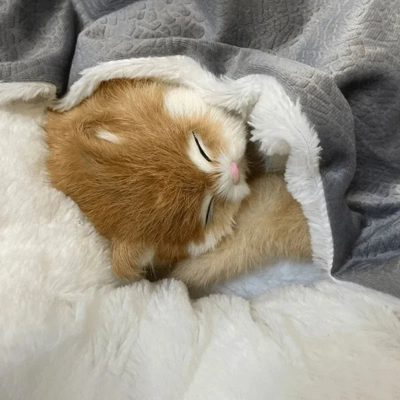 Indoor Plush Dog Mattress