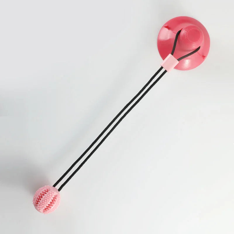 Smart Interactive Dog Ball