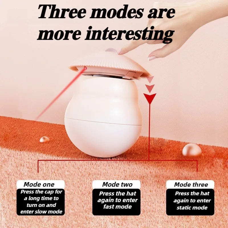 Timed Automatic Cat Laser