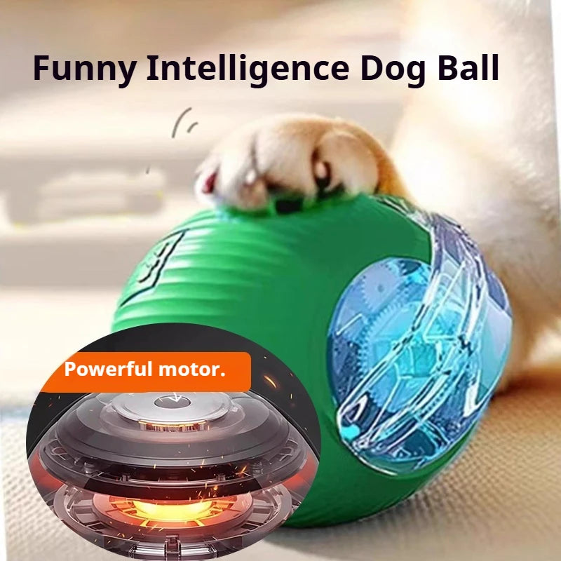 Dog Puzzle Feeder Toy