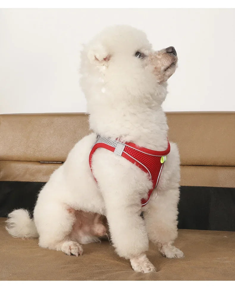 Dog Harness Leash Set