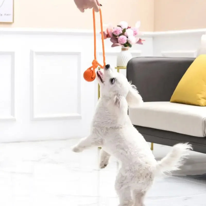 Rope Ball Training Toy