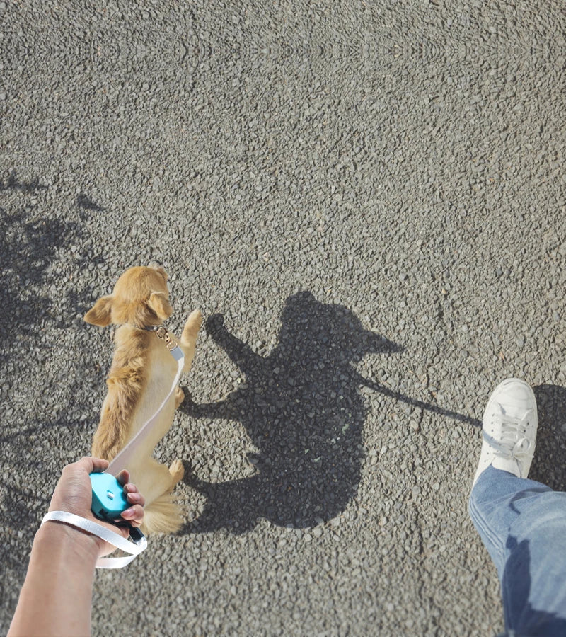 Retractable Dog Leash 2m