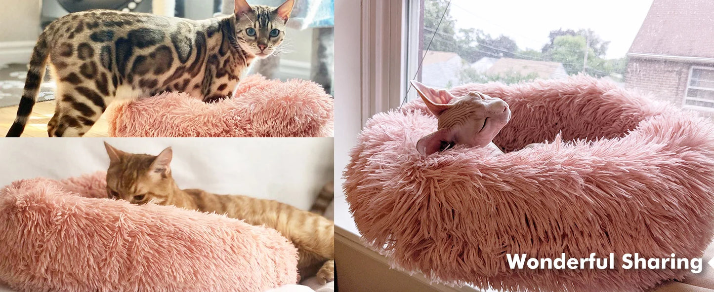 Hot Dog Shaped Pet Bed